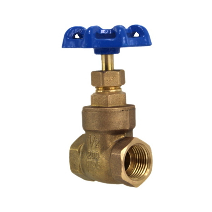 1/2" NPT Gate Valve