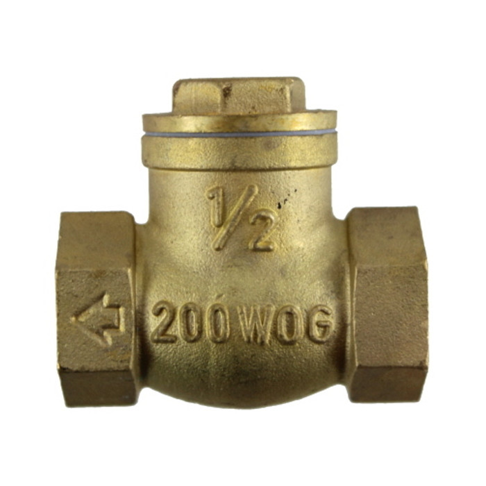 1/2" NPT Check Valve