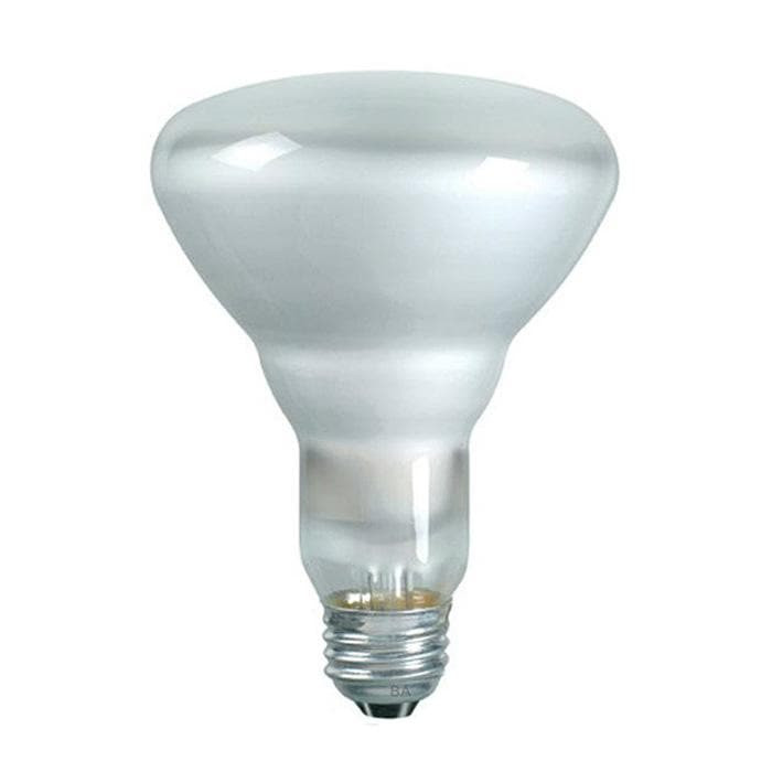 65 Watt R30 Flood Bulb