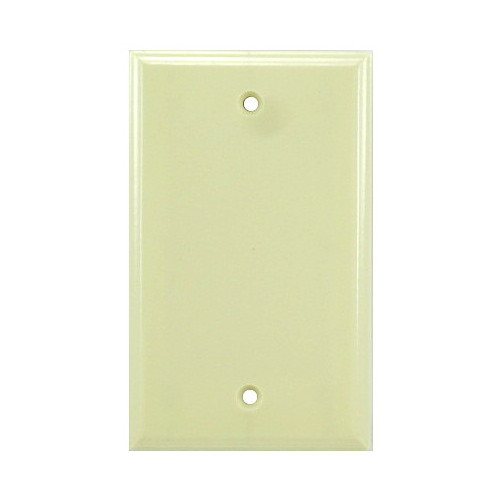 Single Blank Ivory Plate