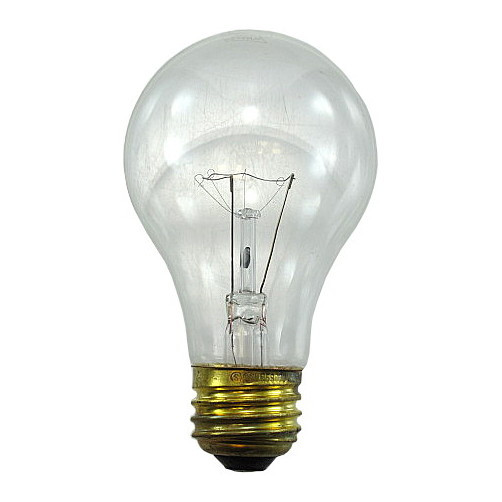 300 Watt Clear Light Bulb