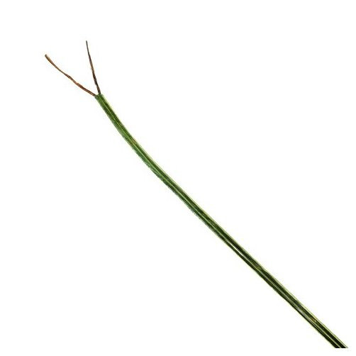 18/2 Gold Zip Cord (Per ft.)