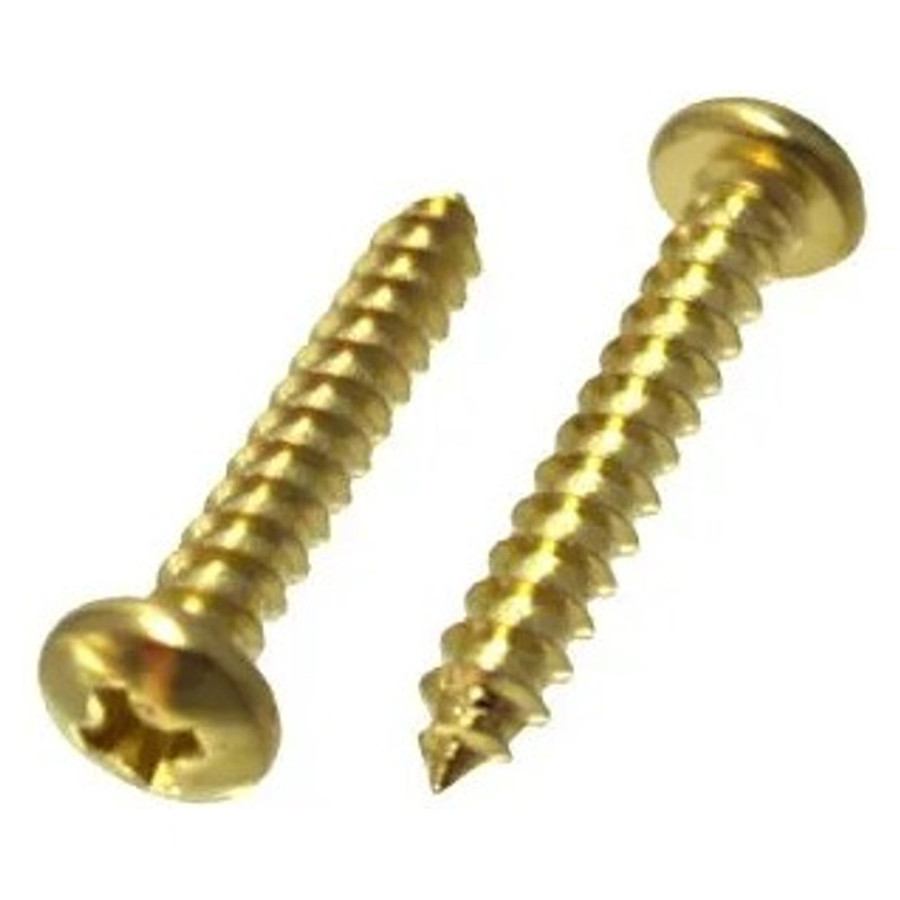 # 8 X 1/2" Brass Plated Pan Head Phillips Sheet Metal Screws (Pack of 12)