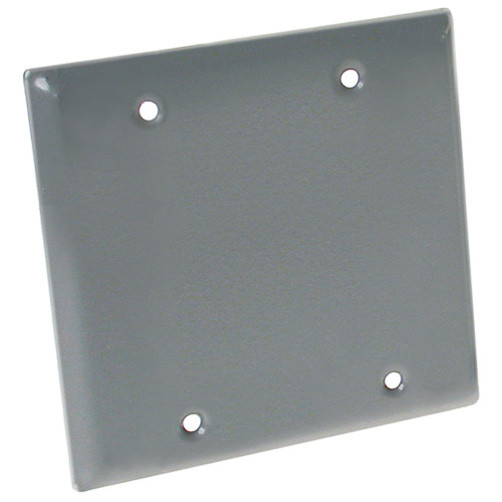 Outdoor 2-Gang Blank Cover