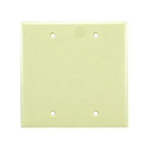 2-Gang Blank Ivory Plate