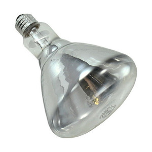 250 Watt Heat Bulb