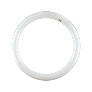 32 Watt 12" Circline Bulb