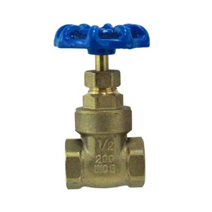 1/2" NPT Globe Valve