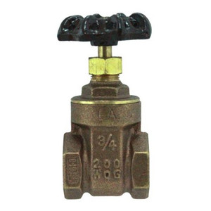 3/4" NPT Globe Valve