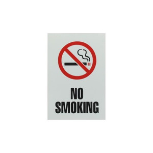 9" X 6" "No Smoking" Sticker
