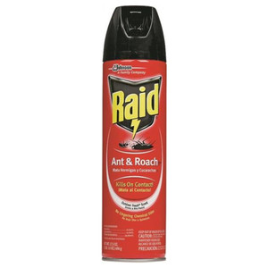 17.5 oz. Raid Ant & Roach Killer Spray - Outdoor Fresh Scent