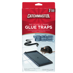 Rat Glue Boards (Pack of 2)