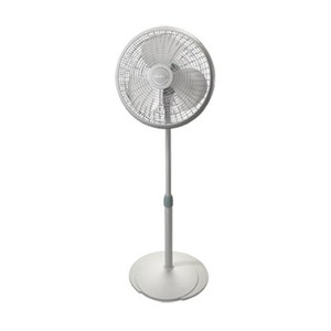 16" Oscillating Pedestal Fan
