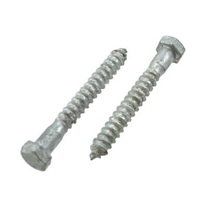 5/16" X 6" Hot-Dipped Galvanized Grade 2 Lag Screws (Box of 50)
