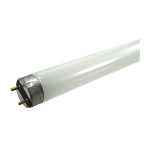 F15T8 Daylight Fluorescent Bulb
