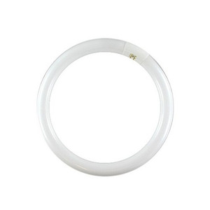 22 Watt 8" Circline Bulb