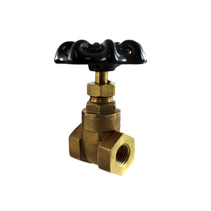 1/4" NPT Gate Valve