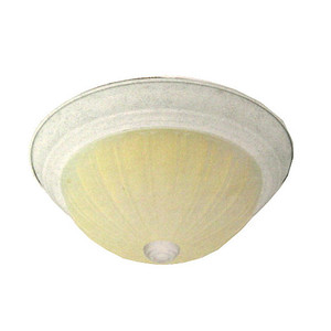 11" 2-Bulb Frosted Glass Fixture