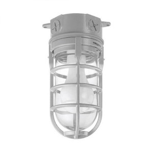 Aluminum Outdoor Metal Cage Fixture