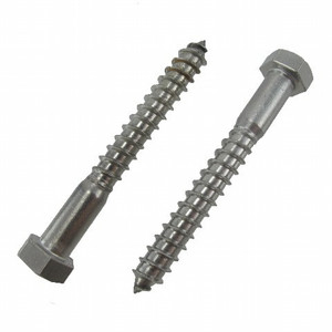 1/4" X 2" Stainless Steel Lag Screws (Pack of 12)