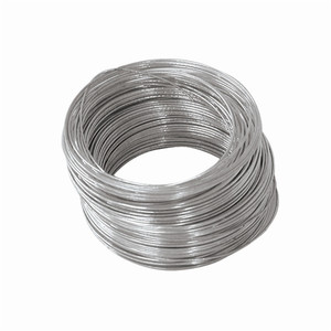100' Galvanized Steel Wire (22 Gauge)
