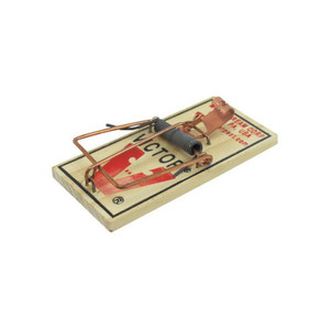 Mouse Spring Trap