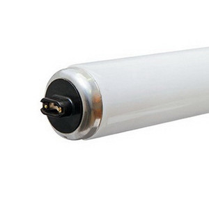 F60T12 High-Output Cool-White Fluorescent Bulb