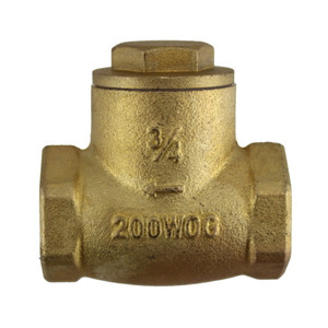 3/4" NPT Check Valve