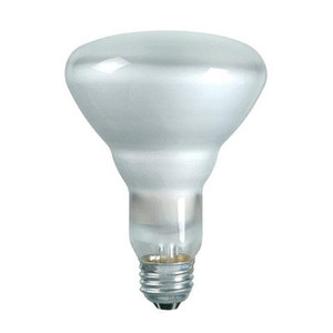 65 Watt R30 Flood Bulb