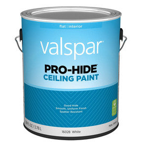 Gallon Pro-Hide Ceiling Paint