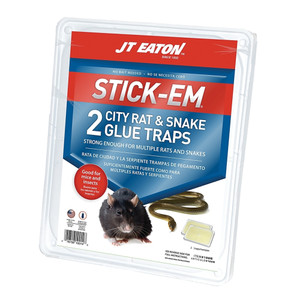 10-1/2" X 12" Large City Rat and Snake Glue Board Traps (Pack of 2)