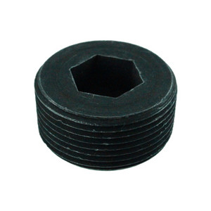 1-1/4" Socket Pressure Plug