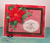 Poinsettia