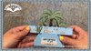 CLASS PAPER Kit (for KB Virtual Class debuting July 25th, 2025)