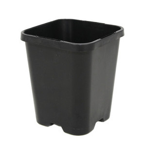 85mm Square (Tag Lock) Square Pots 0.46L
