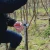 FELCO 17 Left-Handed Rotating Handle Pruning Shears | Swiss Made Professional Secateurs