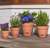 20cm Self-Watering Round Pot by North Cote Pottery