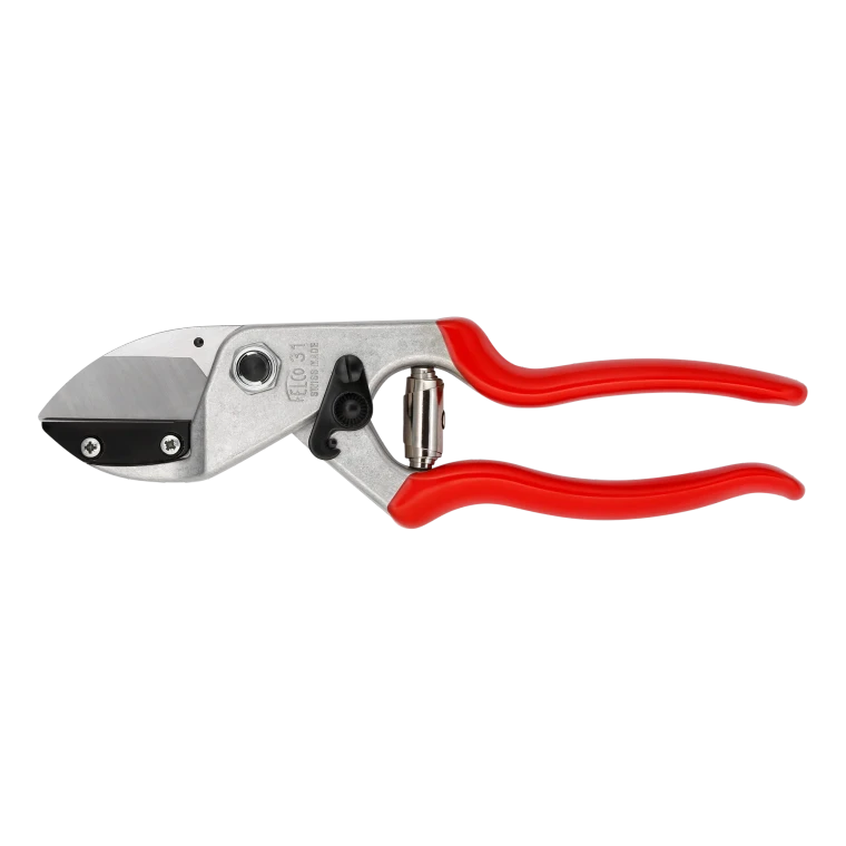 The FELCO 31 Professional Anvil Pruning Shears are purpose-built for cutting hard, dry and dead wood with maximum efficiency. Featuring an ultra-sharp double-bevelled straight blade, a durable brass anvil, and lightweight forged aluminium handles, these Swiss-made secateurs provide exceptional cutting power with minimal effort. Suitable for both left and right-handed users, the FELCO 31 is ideal for arborists, orchardists, landscapers and serious gardeners tackling demanding pruning tasks.