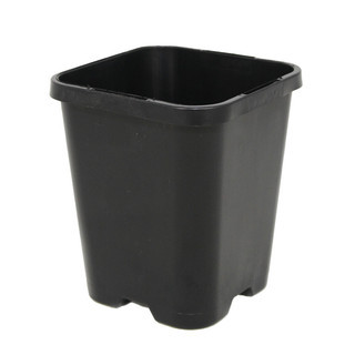 85mm Square (Tag Lock) Square Pots 0.46L
