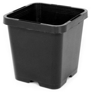 85mm Square Squat Pots (TL)