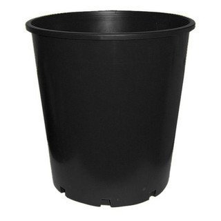 Durable 250mm deep pot, 275mm high, ideal for citrus and deeper-rooted plants.