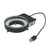 DV Ring Light
