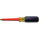 Order Cementex R1-10-CG _  #1X10 Inch Robertson Screwdriver | Instru-measure