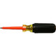 Order Cementex T30-5-CG _  Torx T30X5 Inch Screwdriver | Instru-measure