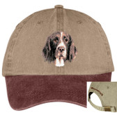 Drentsche Patrijshound hat