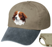 Kooikerhondje hat