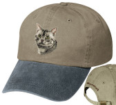 American Shorthair Cat Cap