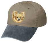 Chihuahua hat