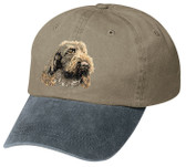 Spinone Italiano cap