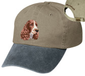 Springer Spaniel personalized